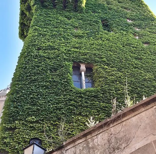 Apartman Diana Jardin *